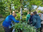 SAMEN DOEN week - Lustrumjaar voor Moestuinvereniging Koudenhoorn